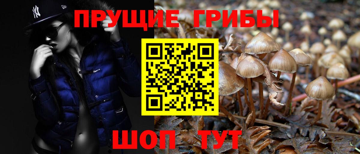 Псилоцибиновые грибы мухоморы Гагарин